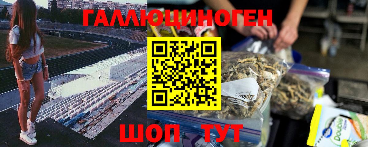 Качканар  Галлюциногенные грибы мицелий  Вход с VPN 