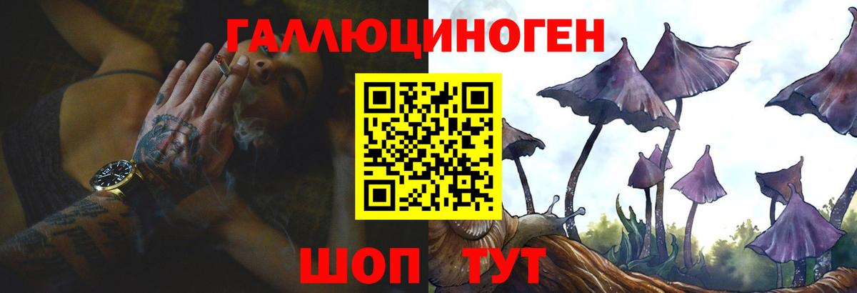 Псилоцибиновые грибы Cubensis Качканар
