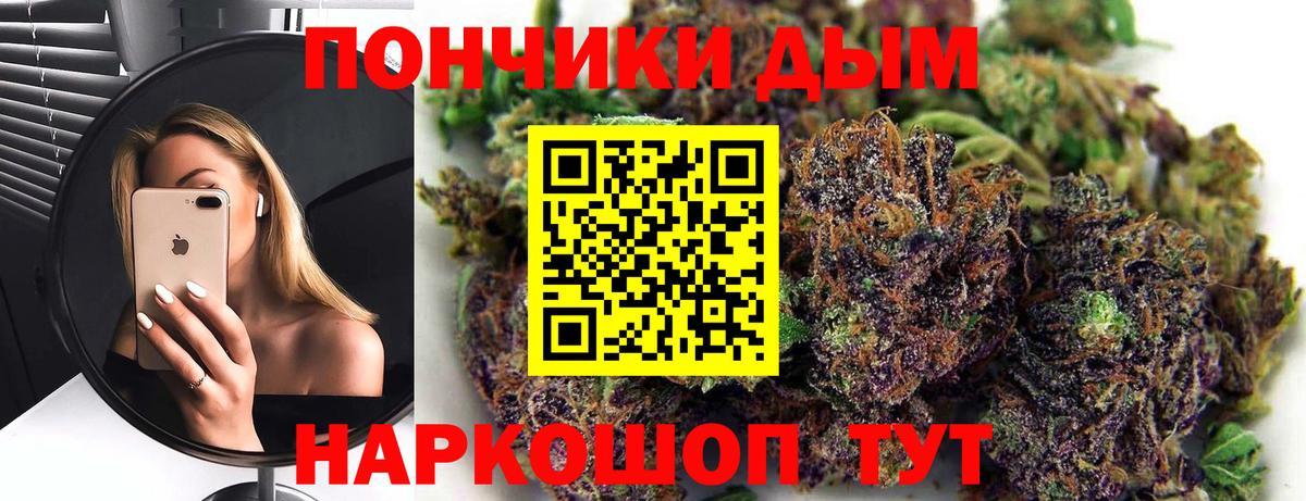 Каннабис индика Качканар